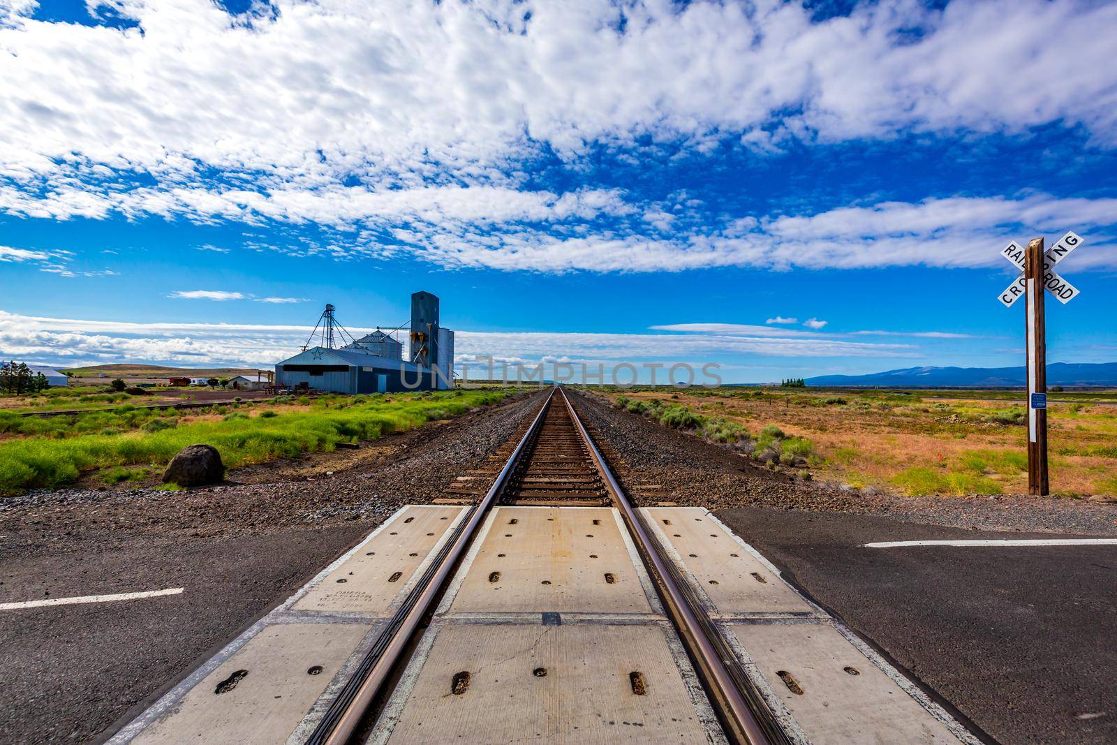 Country railroad in summer day, rails converge far on the horizon