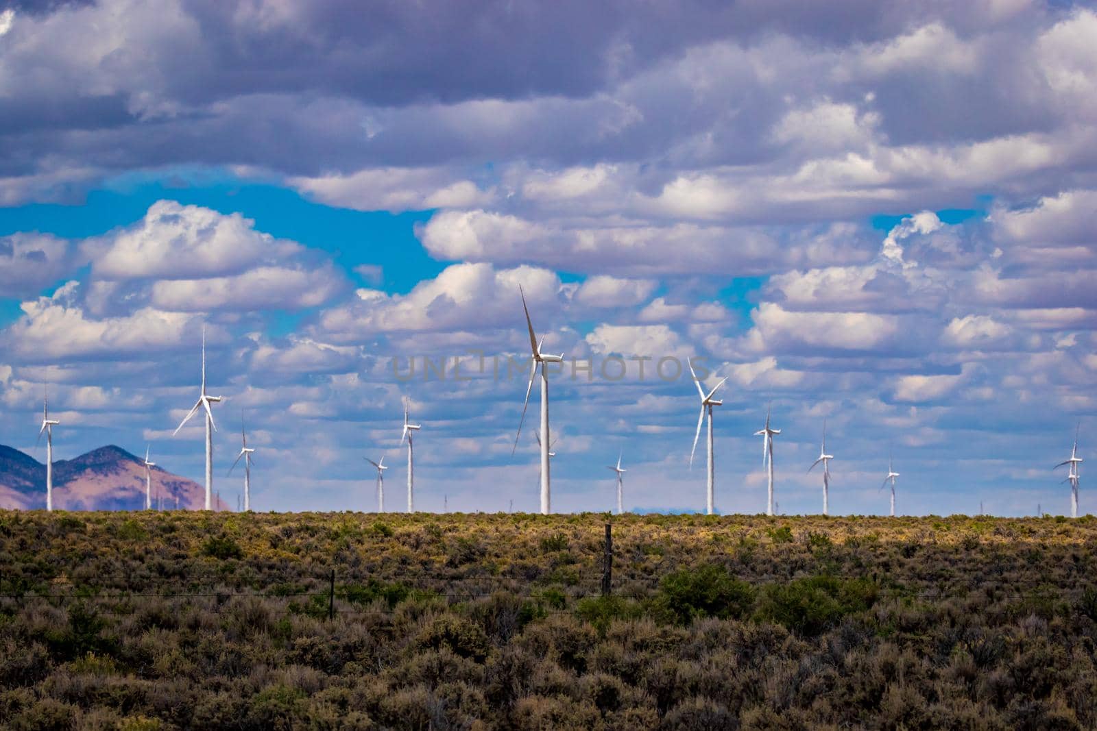 Wind turbines at Spring Valley Wind Farm by gepeng