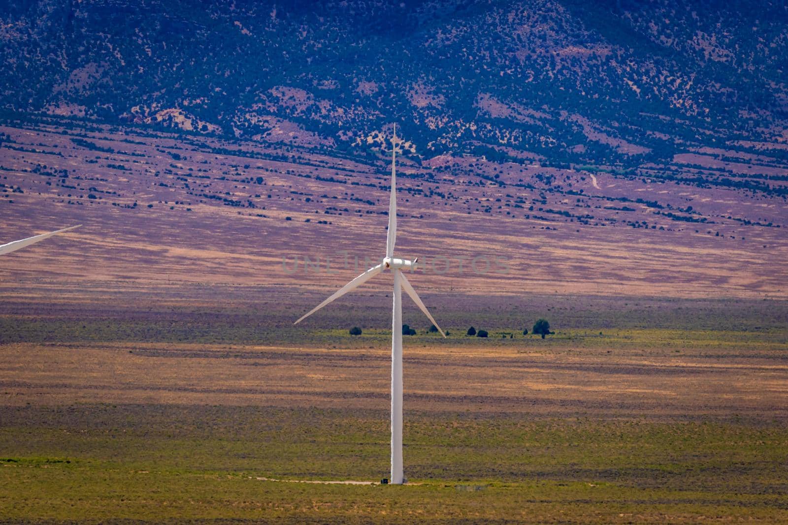 Wind turbine at Spring Valley Wind Farm by gepeng