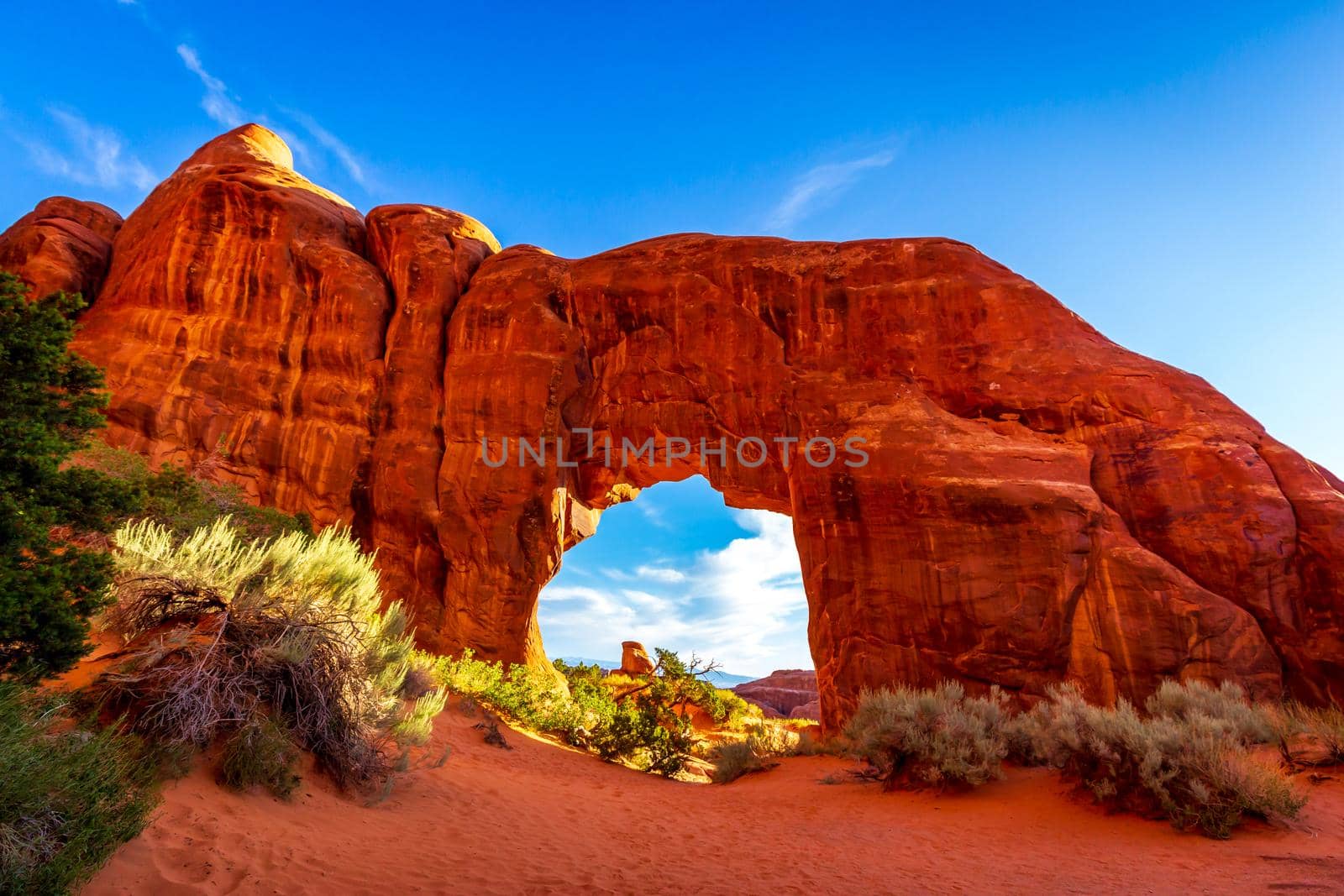 Pine Tree Arch in Devil's Garden, Arches National Park, Utah