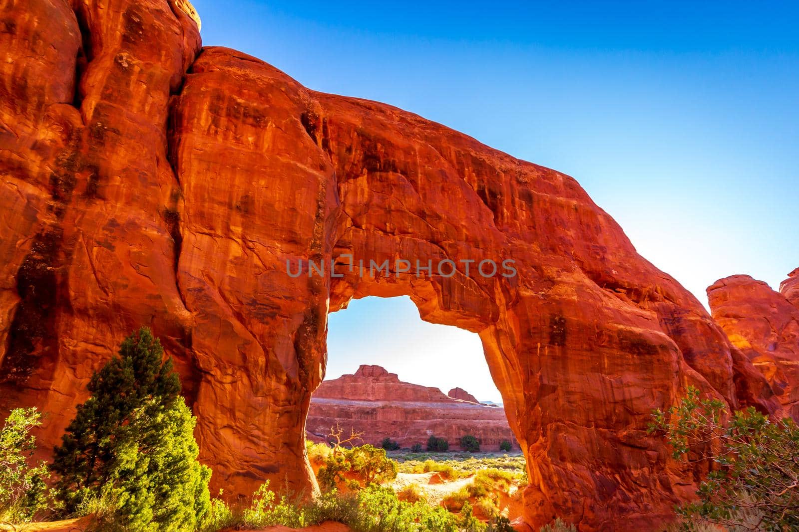 Pine Tree Arch in Devil's Garden, Arches National Park, Utah