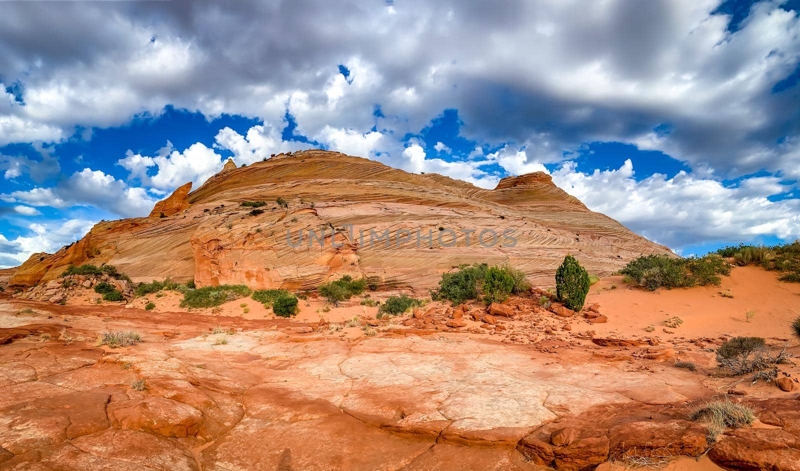 Sandstone rock formations located in Coyote Butte North, Arizona