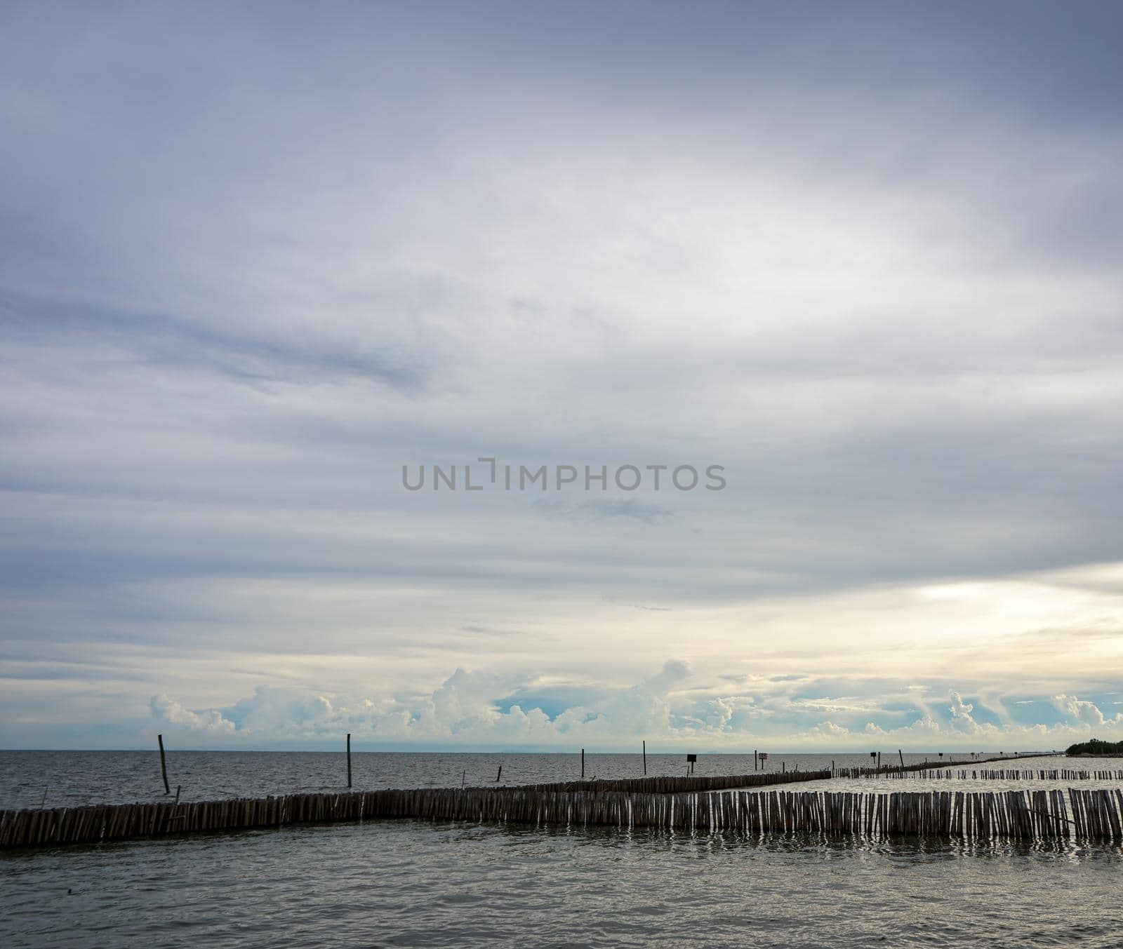 Dried bamboo together into the sea. Prevent coastal erosion from seawater.