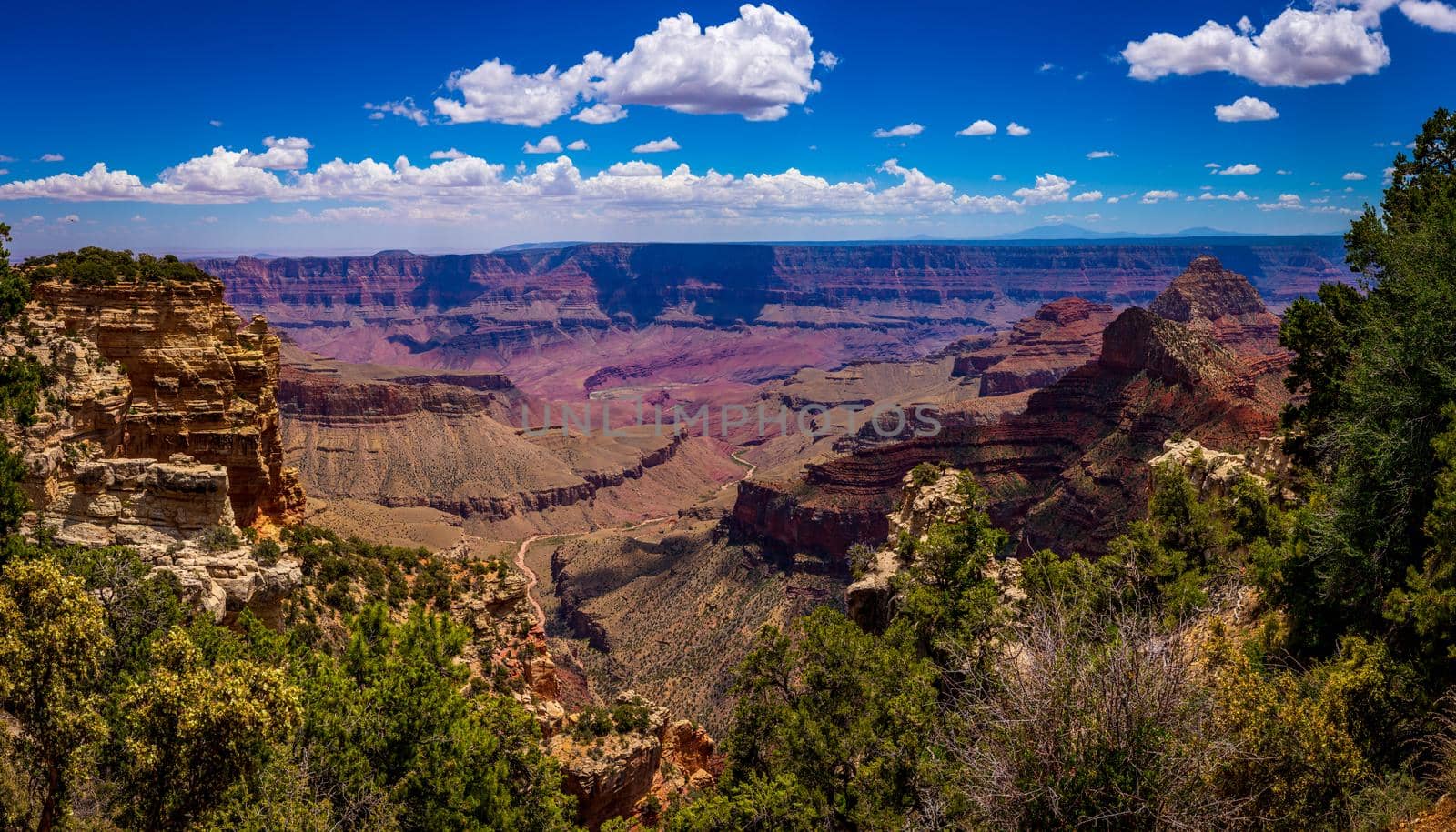 Grand Canyon National Park viewed from North Rim, at Walhalla Overlook