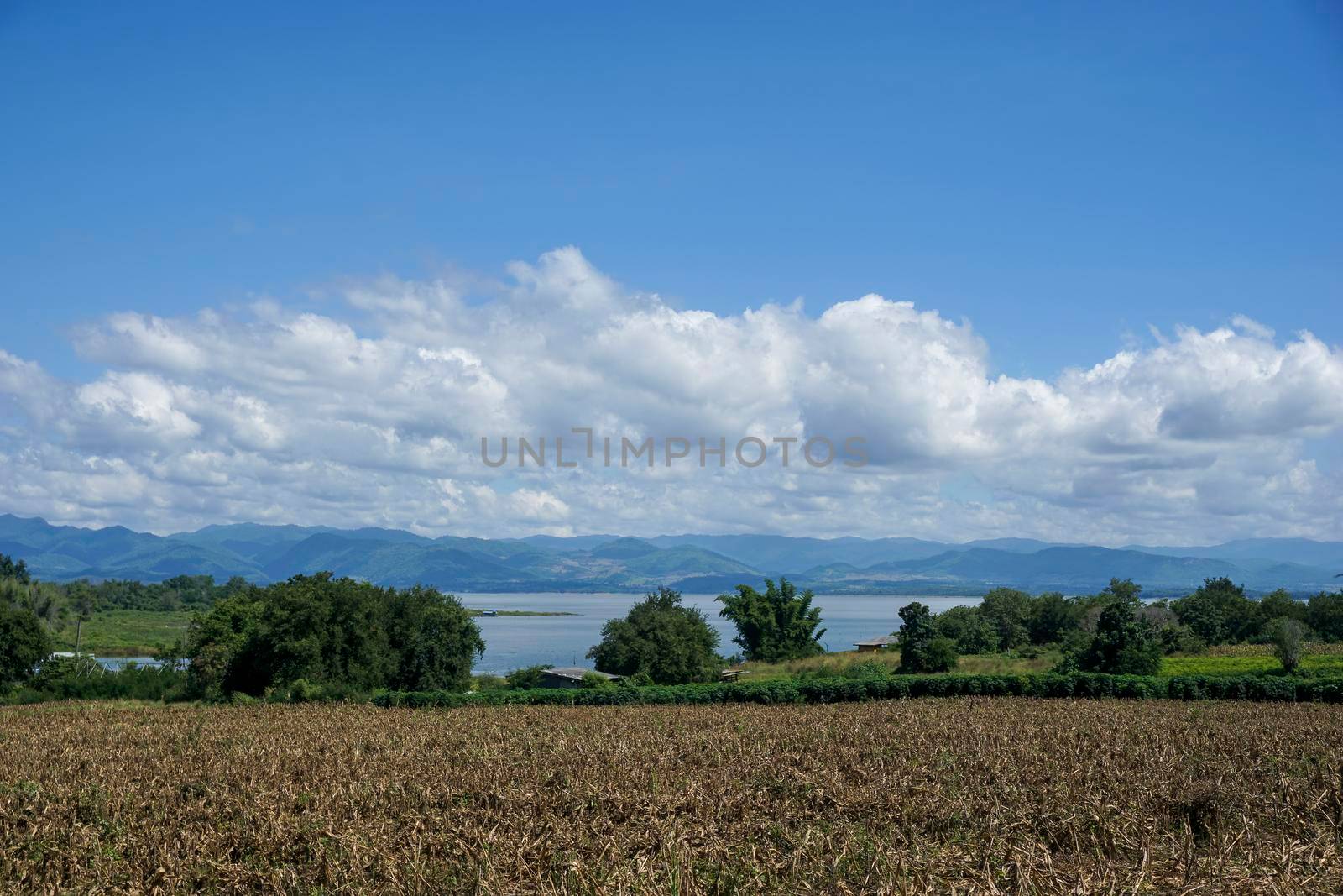 Clear blue sky white clouds, trees, natural grass trees around the Srinakarin Reservoir, Kanchanaburi, Thailand