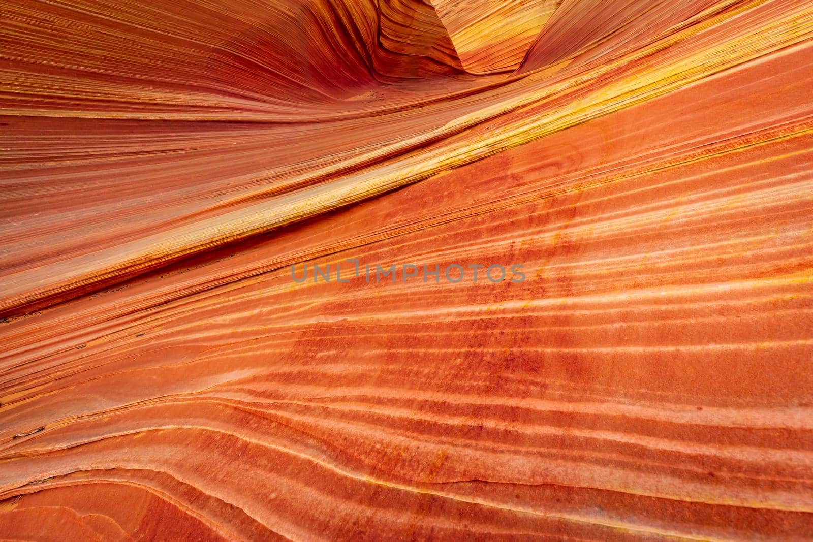 The Wave sandstone formation in Arizona by gepeng