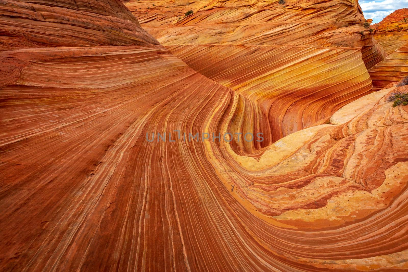 The Wave sandstone formation in Arizona by gepeng