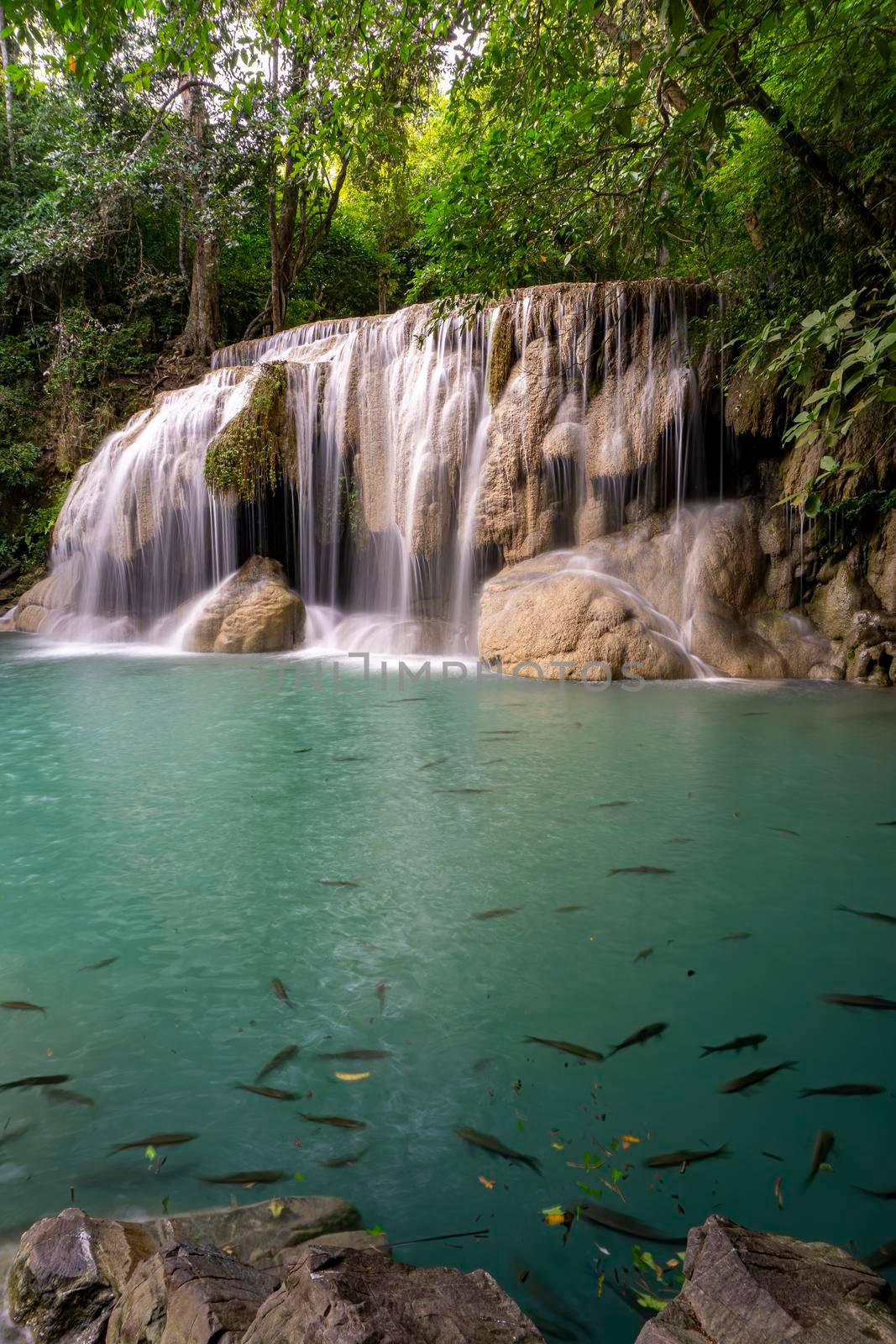Clean green emerald water from the waterfall Surrounded by small trees - large trees,  green colour,  fish live in the pond, Erawan waterfall, Kanchanaburi province, Thailand