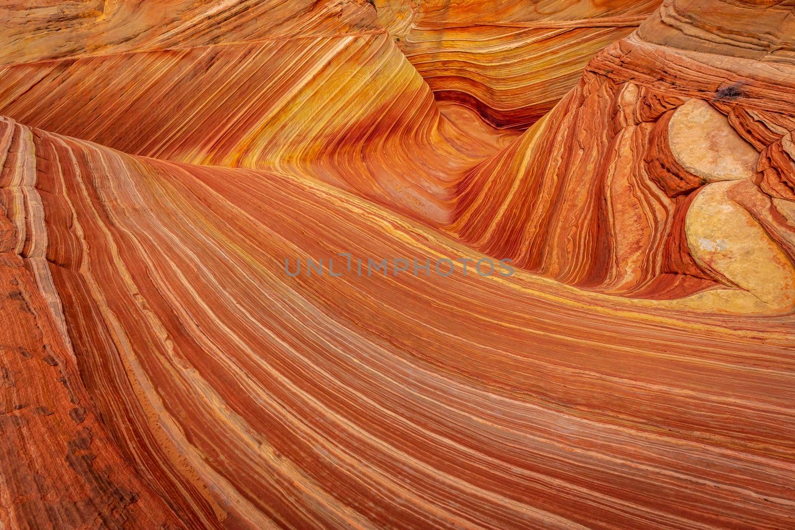 The Wave sandstone formation in Arizona by gepeng