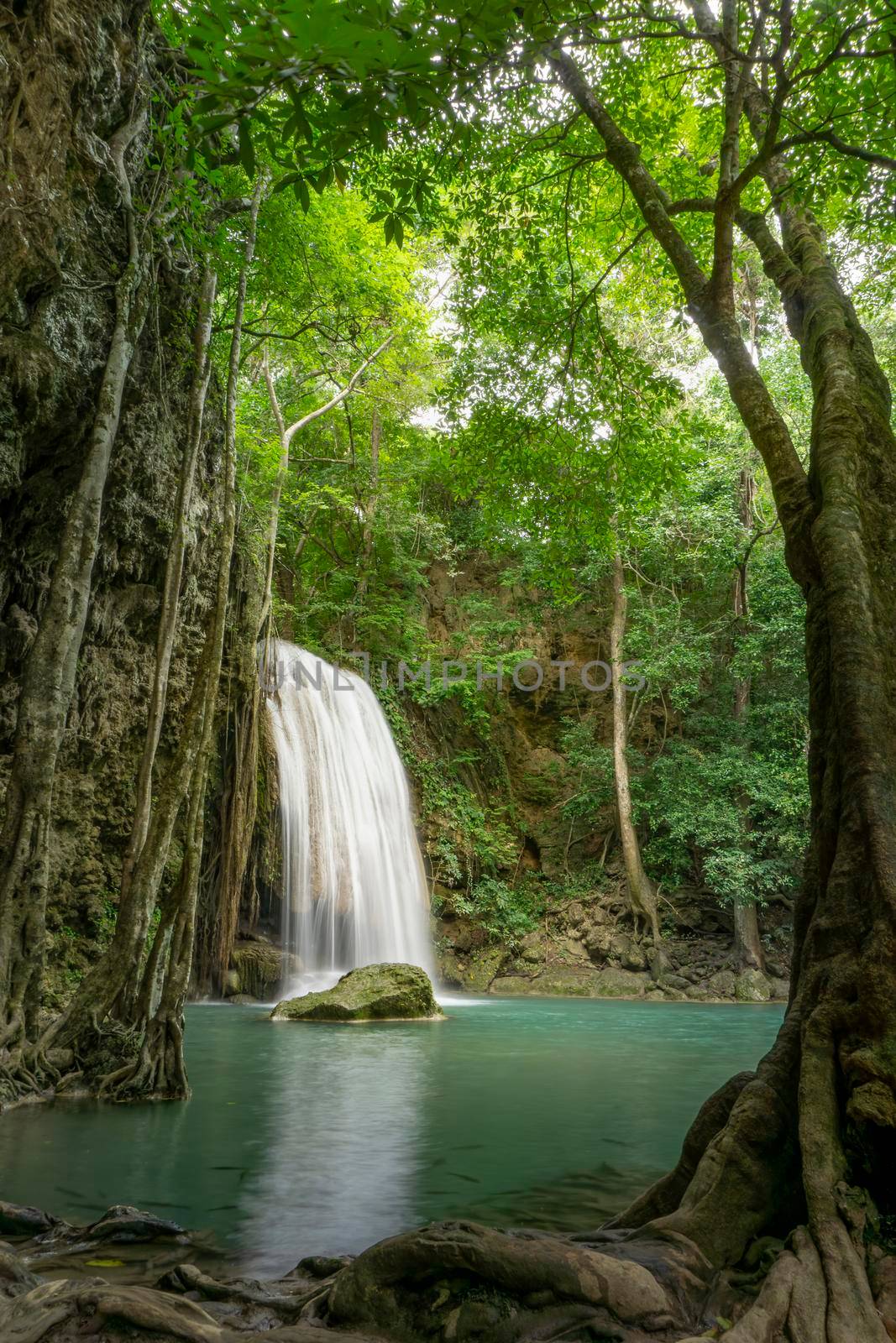Clean green emerald water from the waterfall Surrounded by small trees - large trees,  green colour, Erawan waterfall, Kanchanaburi province, Thailand