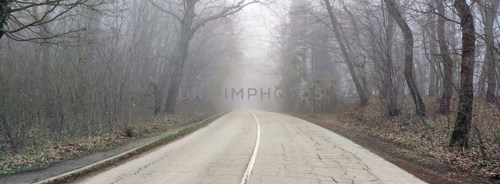 road in the forest in the fog for a horizontal background.