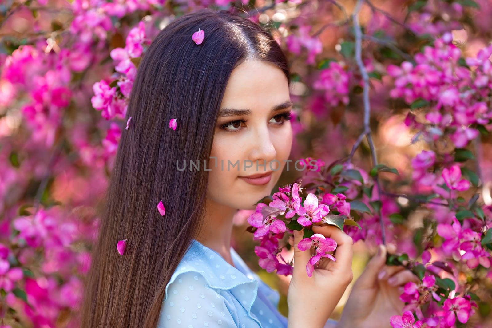 A pretty brunette girl with pink petals in long hair is standing near a pink blooming apple tree, looking away. Close up.