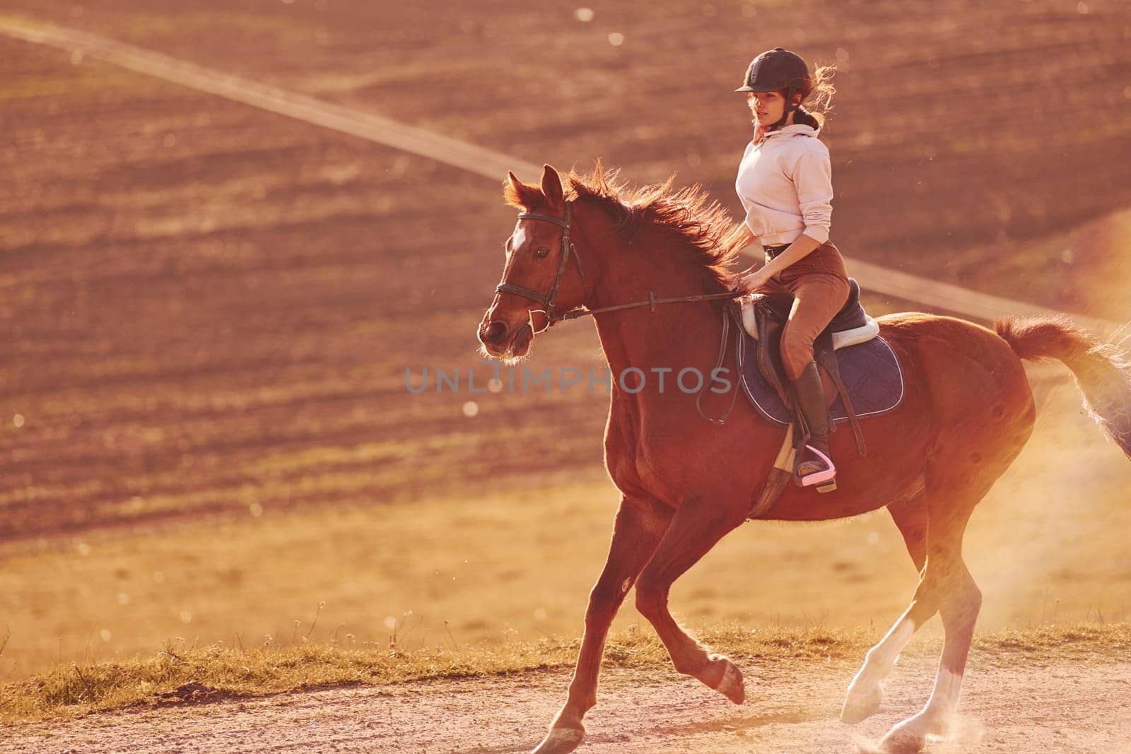Young woman in protective hat riding her horse in agriculture field at sunny daytime.