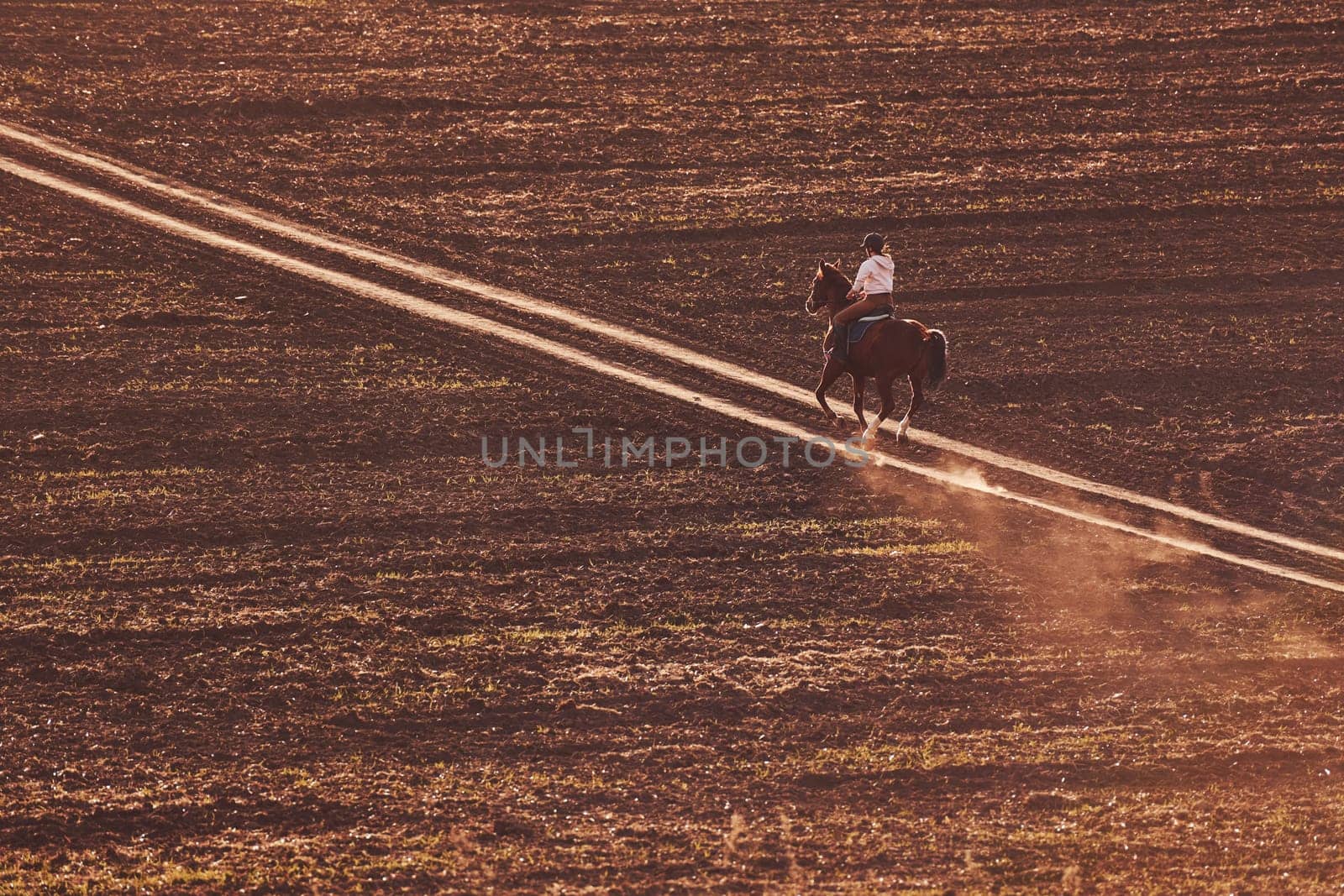 Young woman in protective hat riding her horse in agriculture field at sunny daytime by Standret