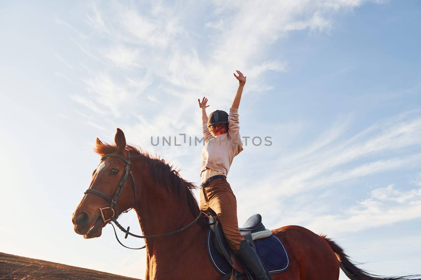 Young woman in protective hat with her horse in agriculture field at sunny daytime.