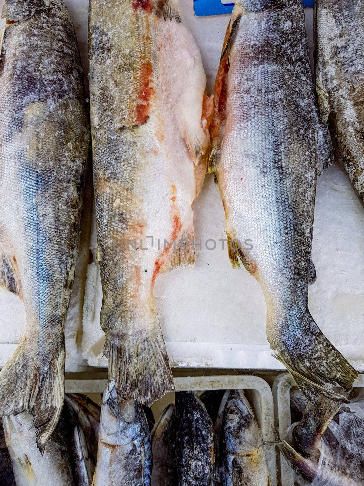 Frozen carcasses of red fish lie on ice on the counter of the fish market, top view, close-up