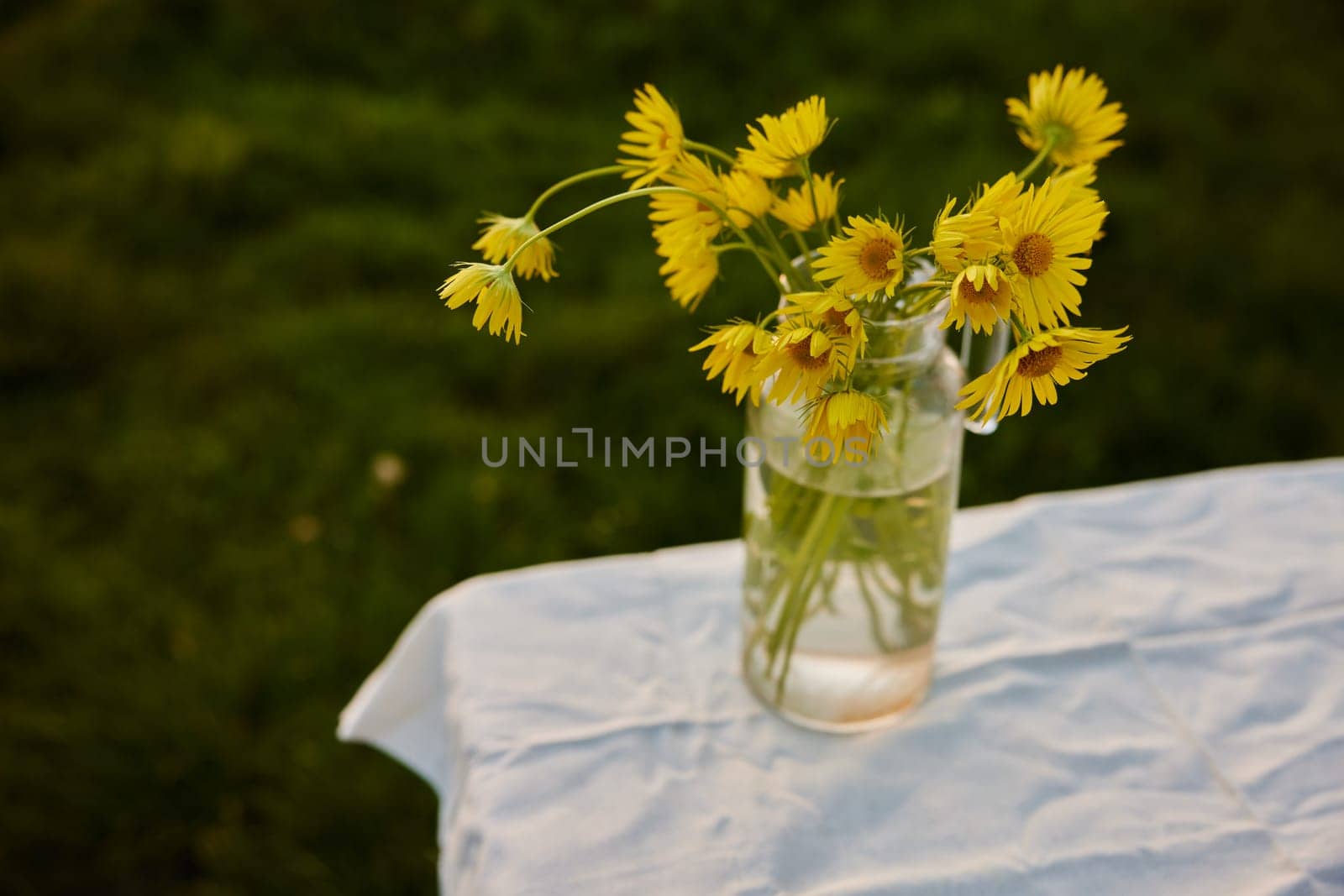 horizontal photo of flowers in a vase. High quality photo