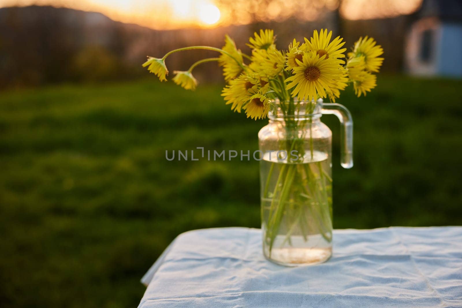 flowers in a vase stand outside during sunset on a table with a white tablecloth by Vichizh