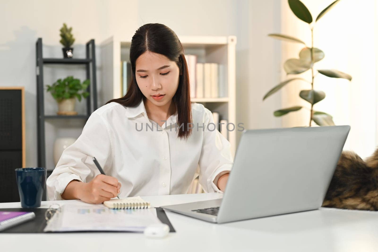 Attractive female entrepreneur sitting at desk using laptop computer and signing on business document.