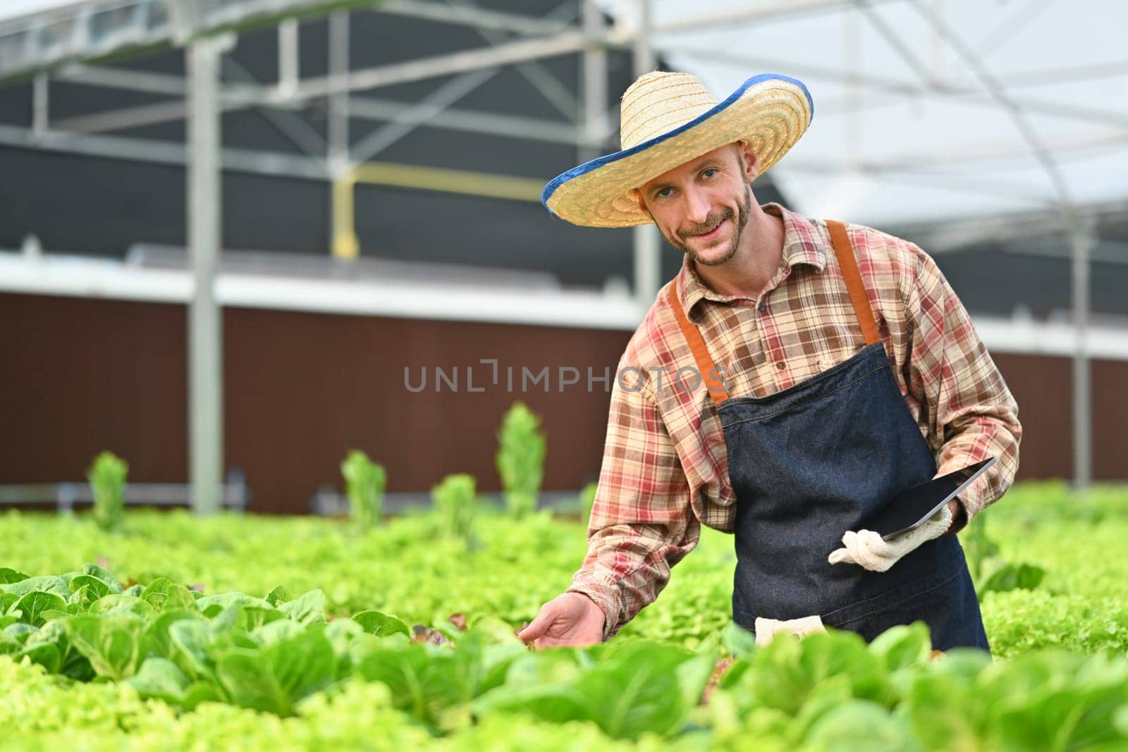 Farmer with digital tablet checking sustainable farming growth or progress in greenhouse. Business agriculture and technology concept.