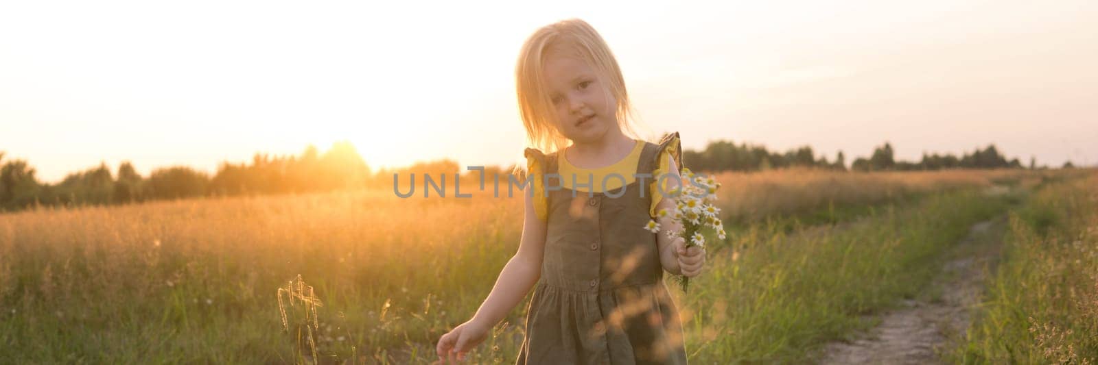 A little blonde girl is sitting walking on a chamomile field and collecting a bouquet of flowers. The concept of walking in nature, freedom and a clean lifestyle