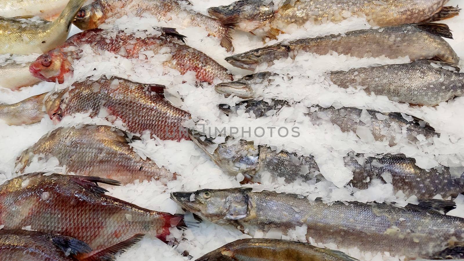 Assorted of Fresh chilled fish, lying in ice on the window in the supermarket. Close up.