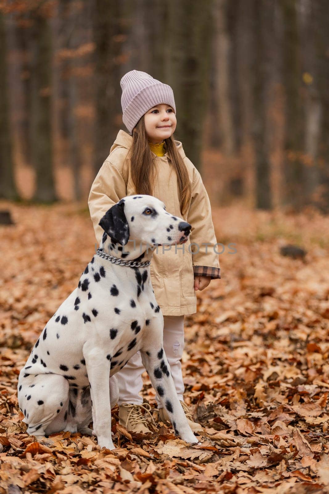 girl with a Dalmatian dog in the autumn forest