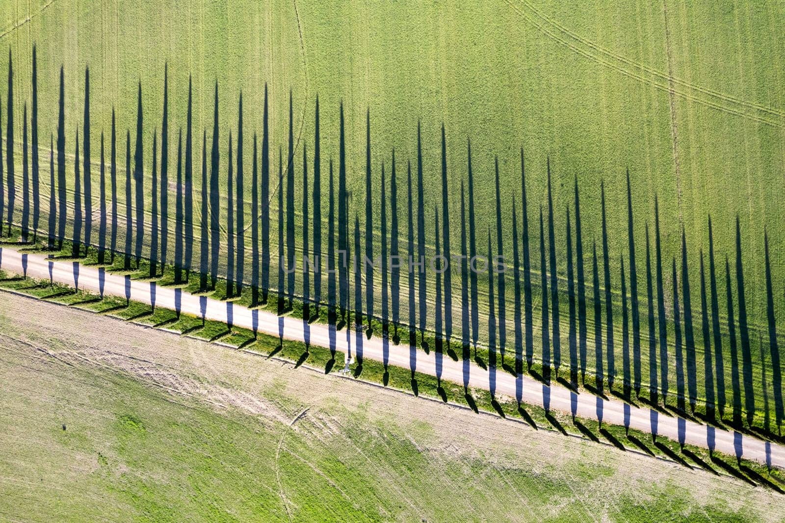 Aerial photographic documentation of a row of cypress trees in the Val Di Orcia in Tuscany Italy