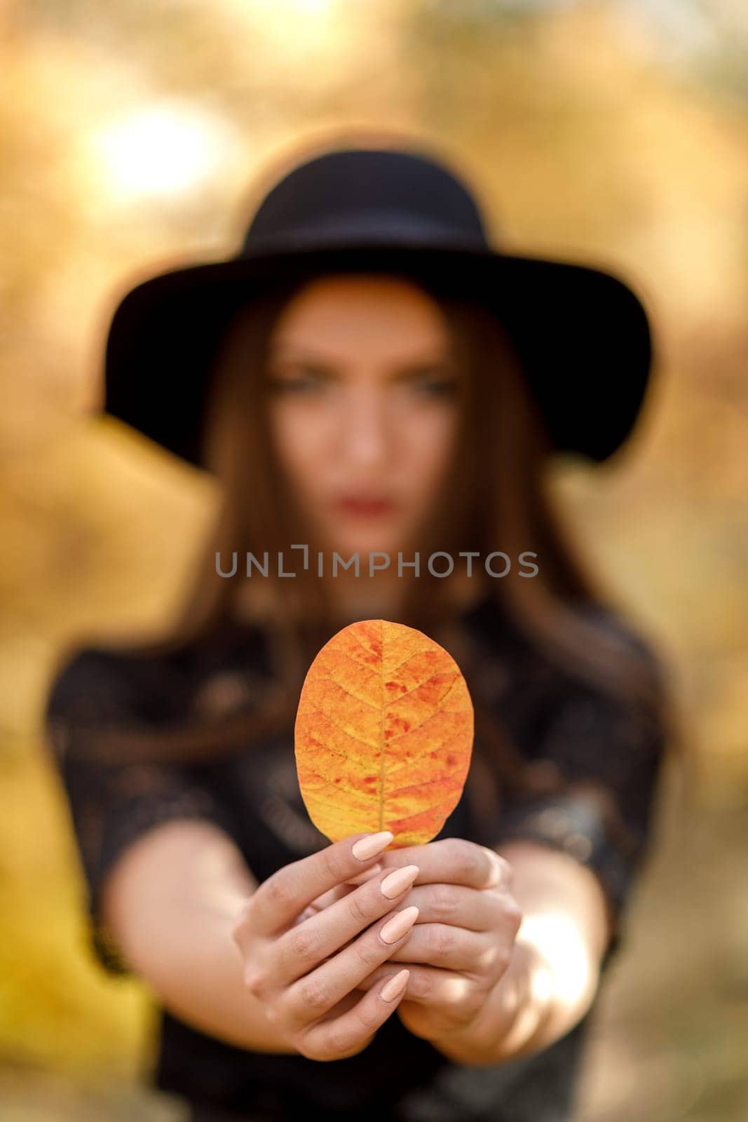 beautiful woman in black dress and hat in autumn by erstudio
