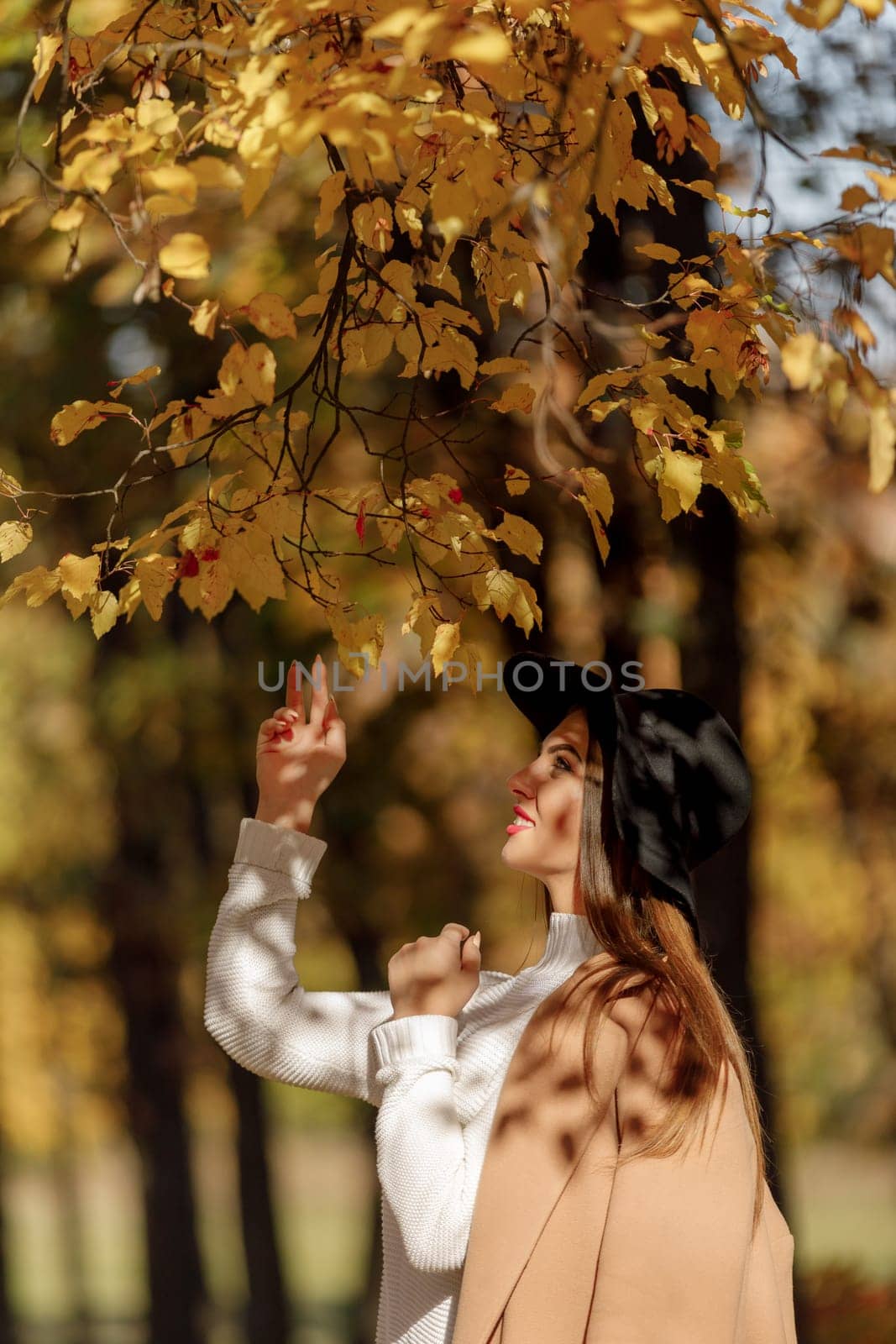 beautiful young woman in coat and black hat near tree in the autumn
