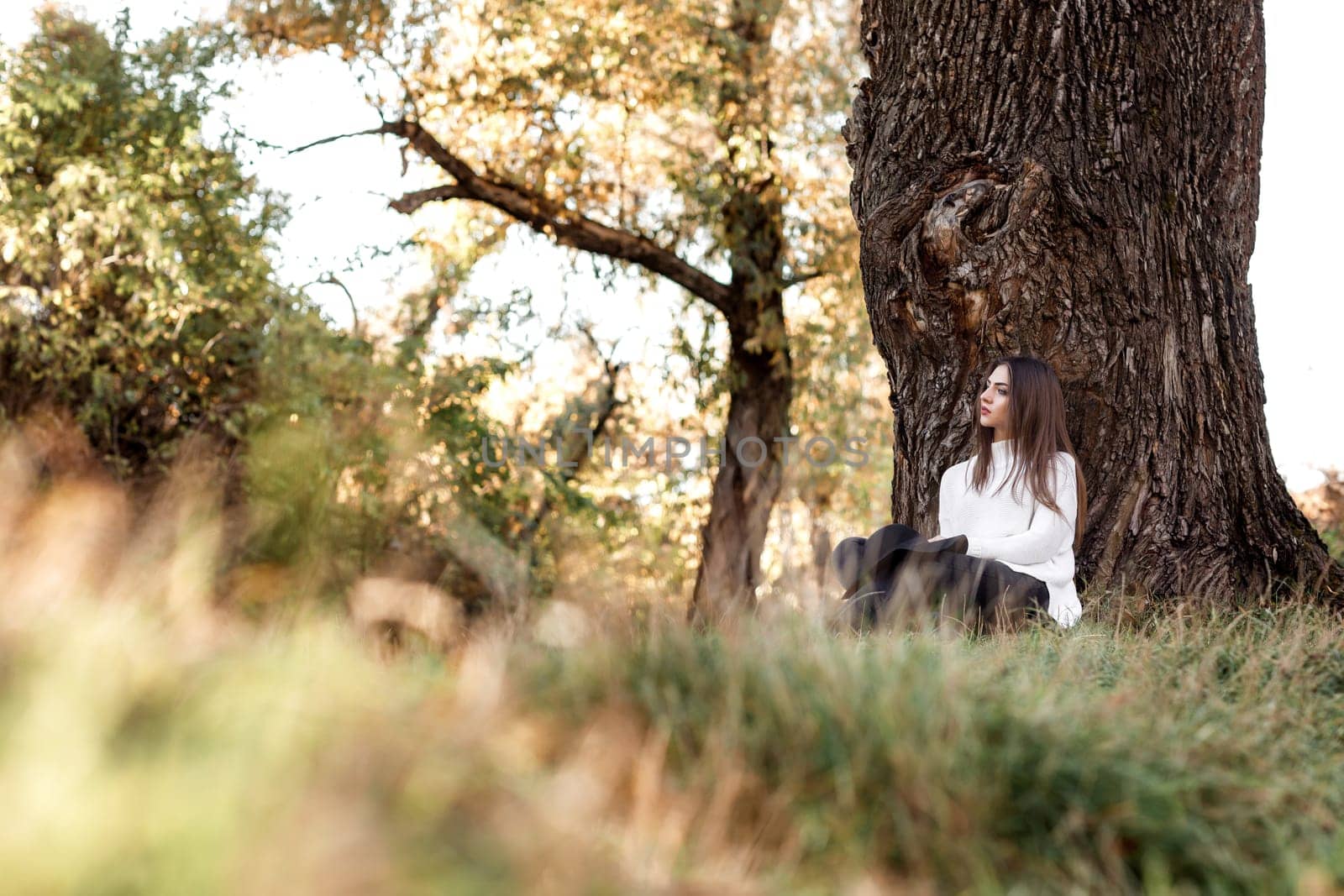 beautiful woman sitting under big tree and daydreaming on sunny autumn day.