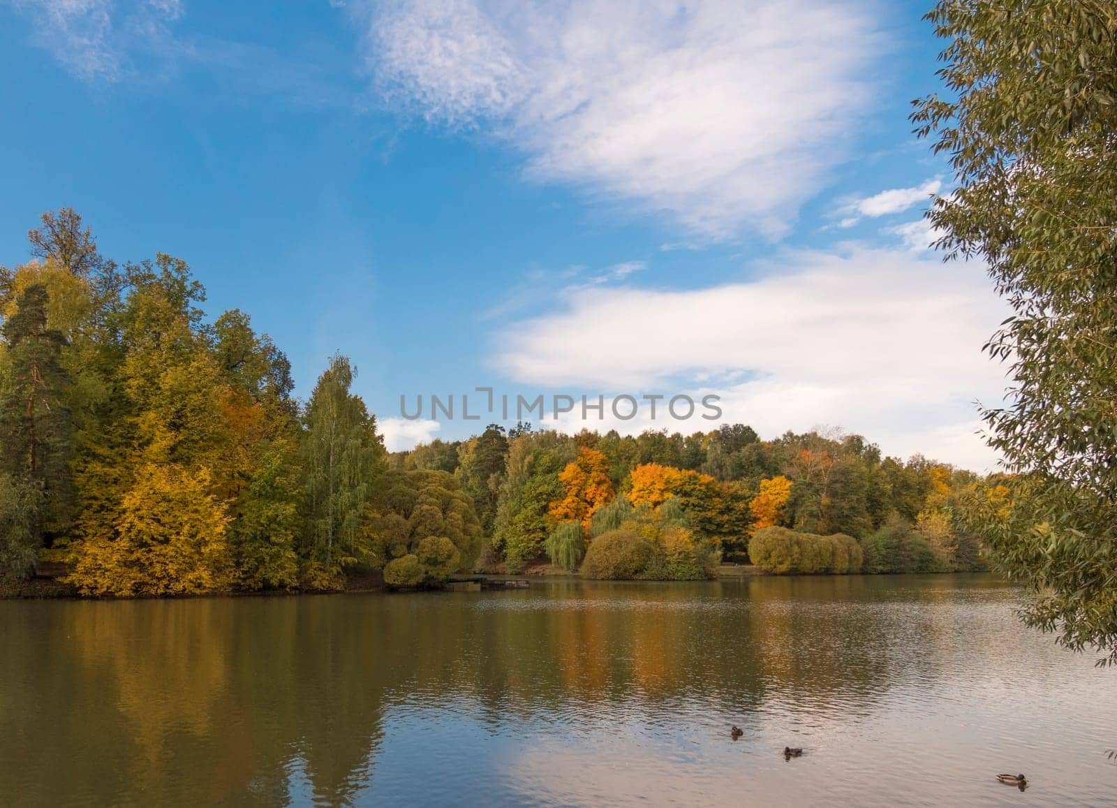 Autumn foliage with water reflection natural landscape.