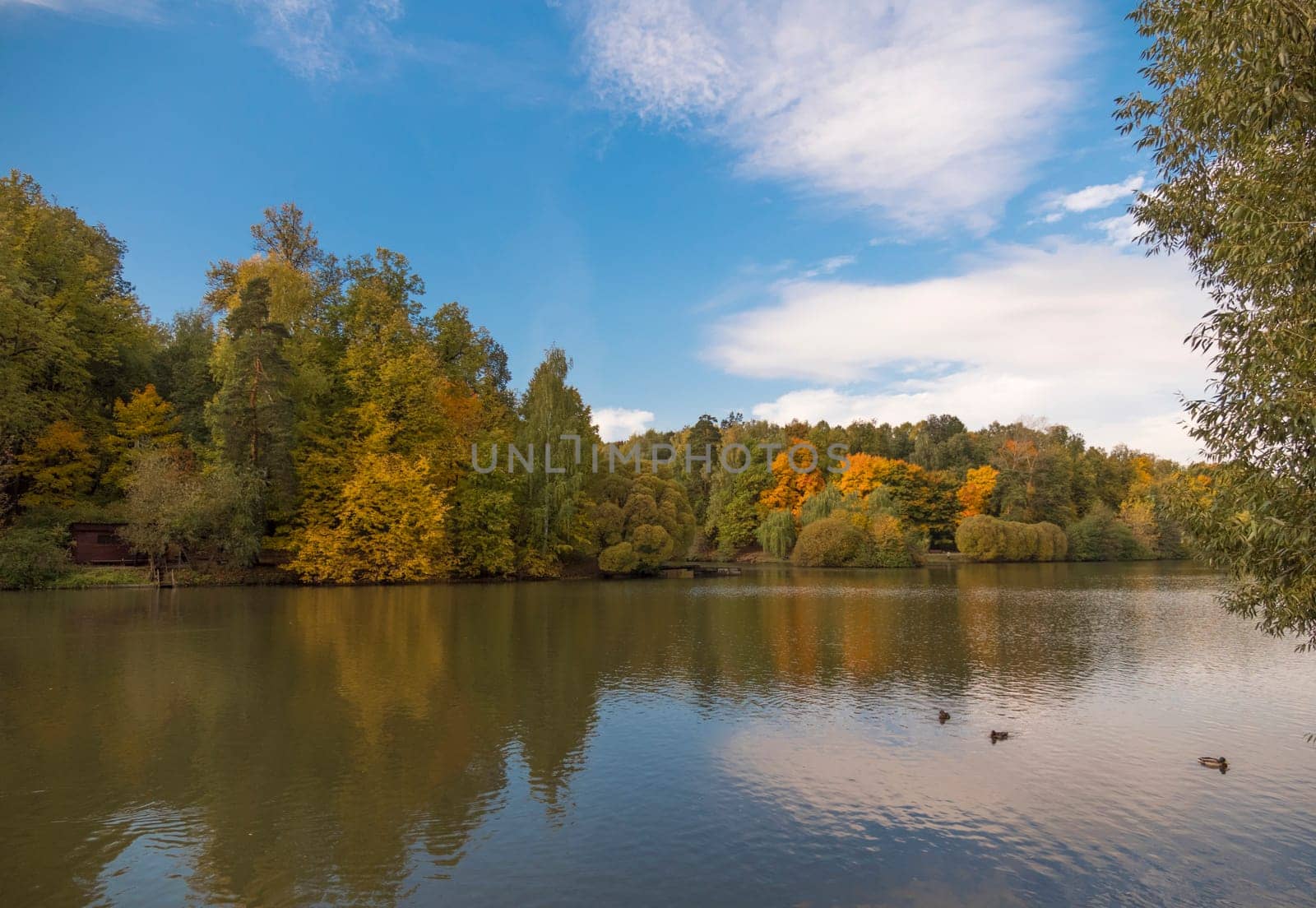 Autumn foliage with water reflection natural landscape.