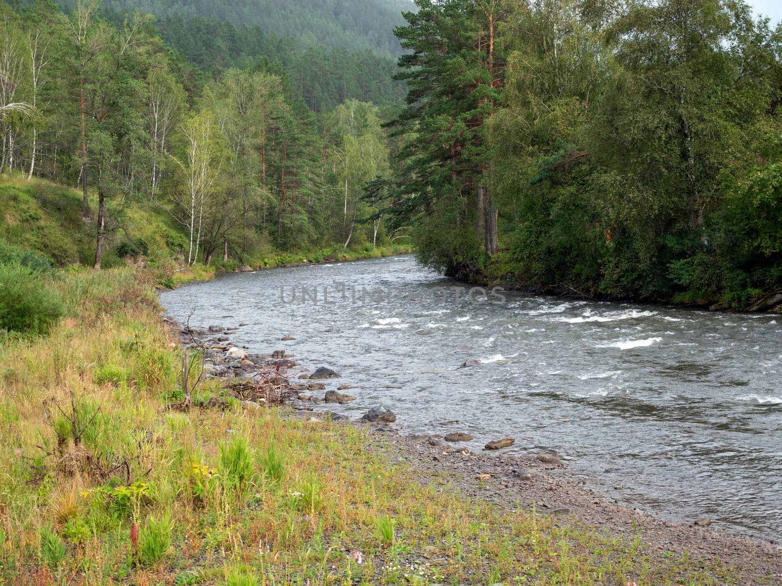 Waves, spray and foam, river Katun in Altai mountains. Siberia, Russia.