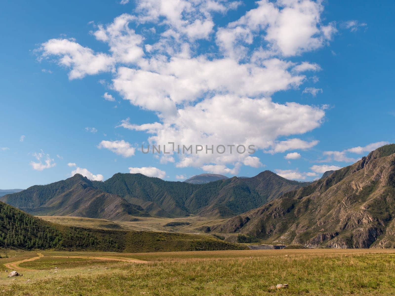 The landscape Altai mountains a Siberia Russia.