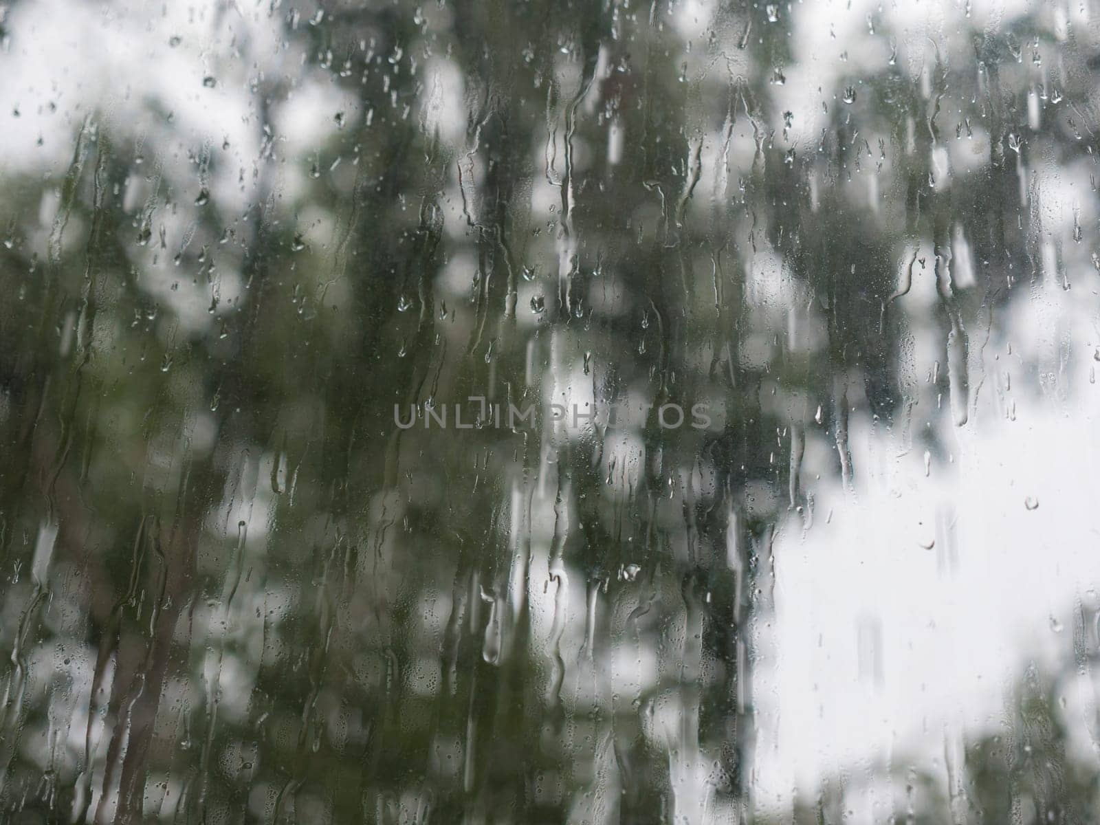Rain drops on window glasses surface with trees against the sky.