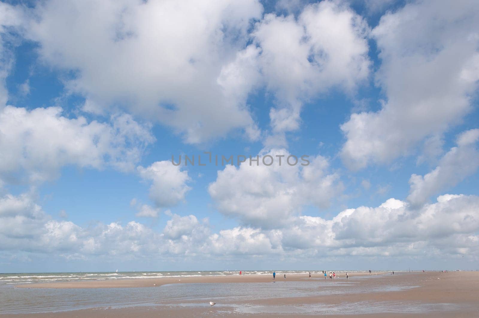 Clear blue sky and white dynamic clouds over the sea, view of the horizon, the bay of the sandy beach, residential buildings are visible in the distance, High quality photo