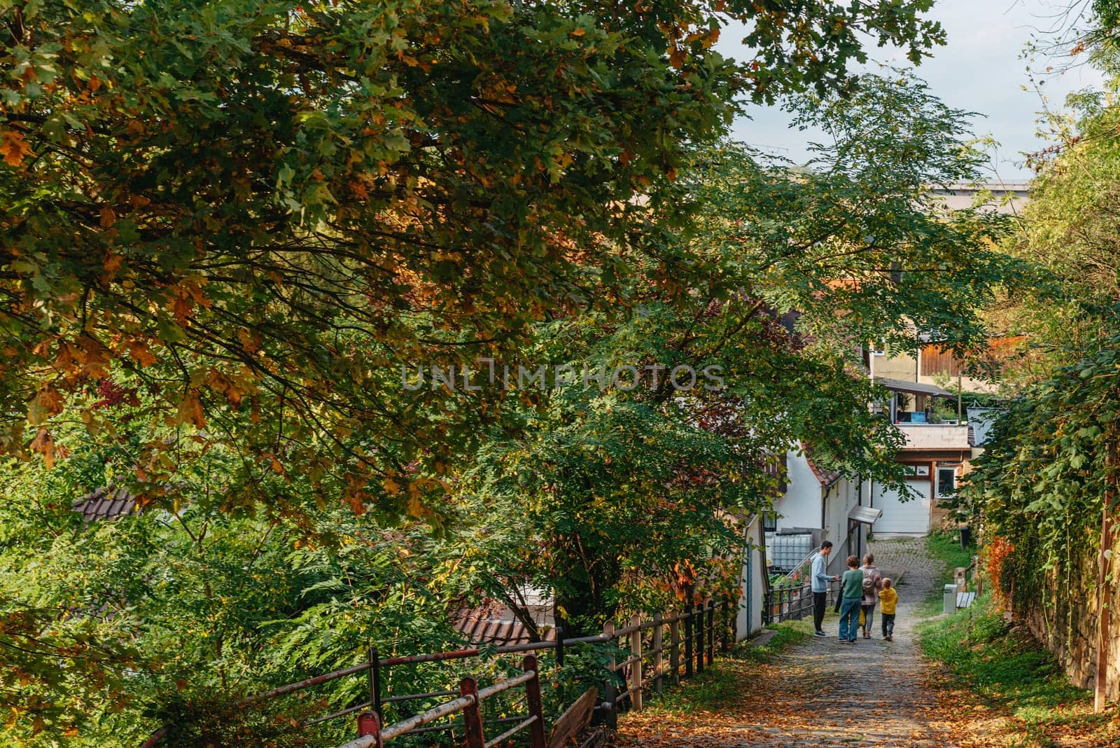 Couple in love walking in park by fall by Andrii_Ko