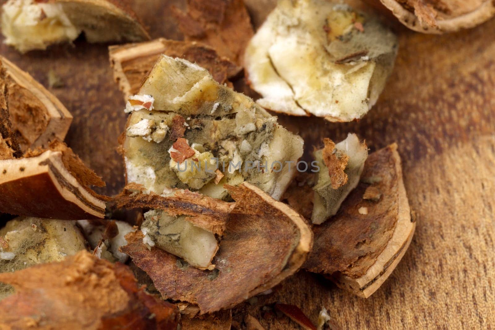 Raw hazelnuts during the preparation of nuts for food. Spoiled foods with mold, close-up macro