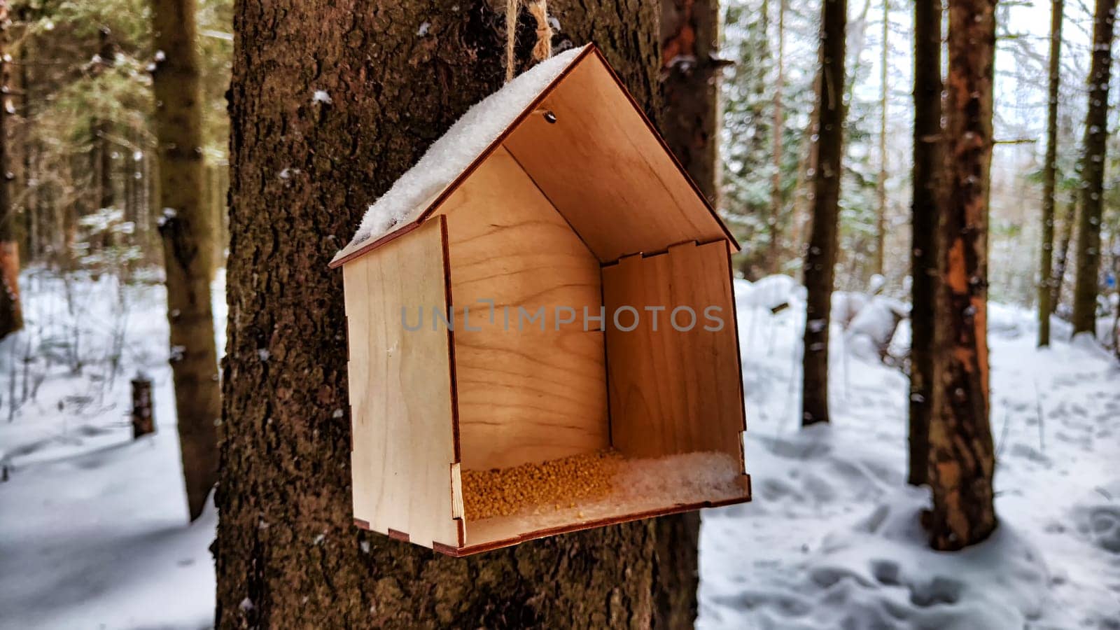 Close-up of a bird feeder on tree under the snow in the forest
