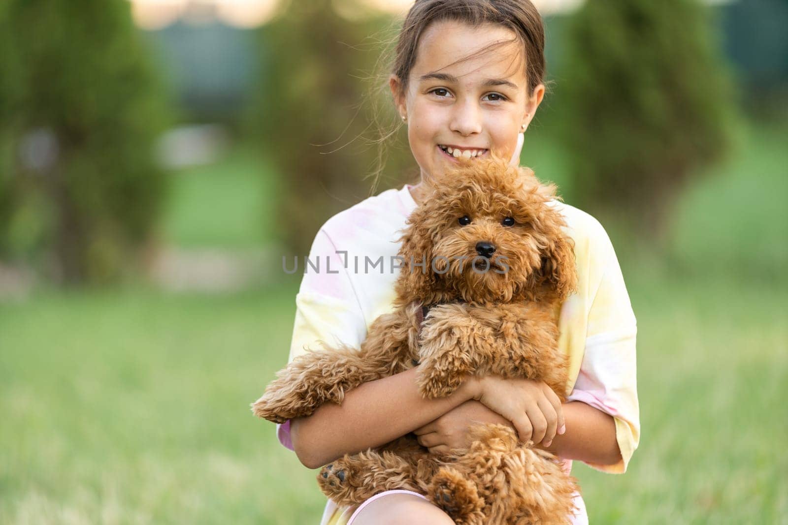 a little girl playing with her maltipoo dog a maltese-poodle breed.