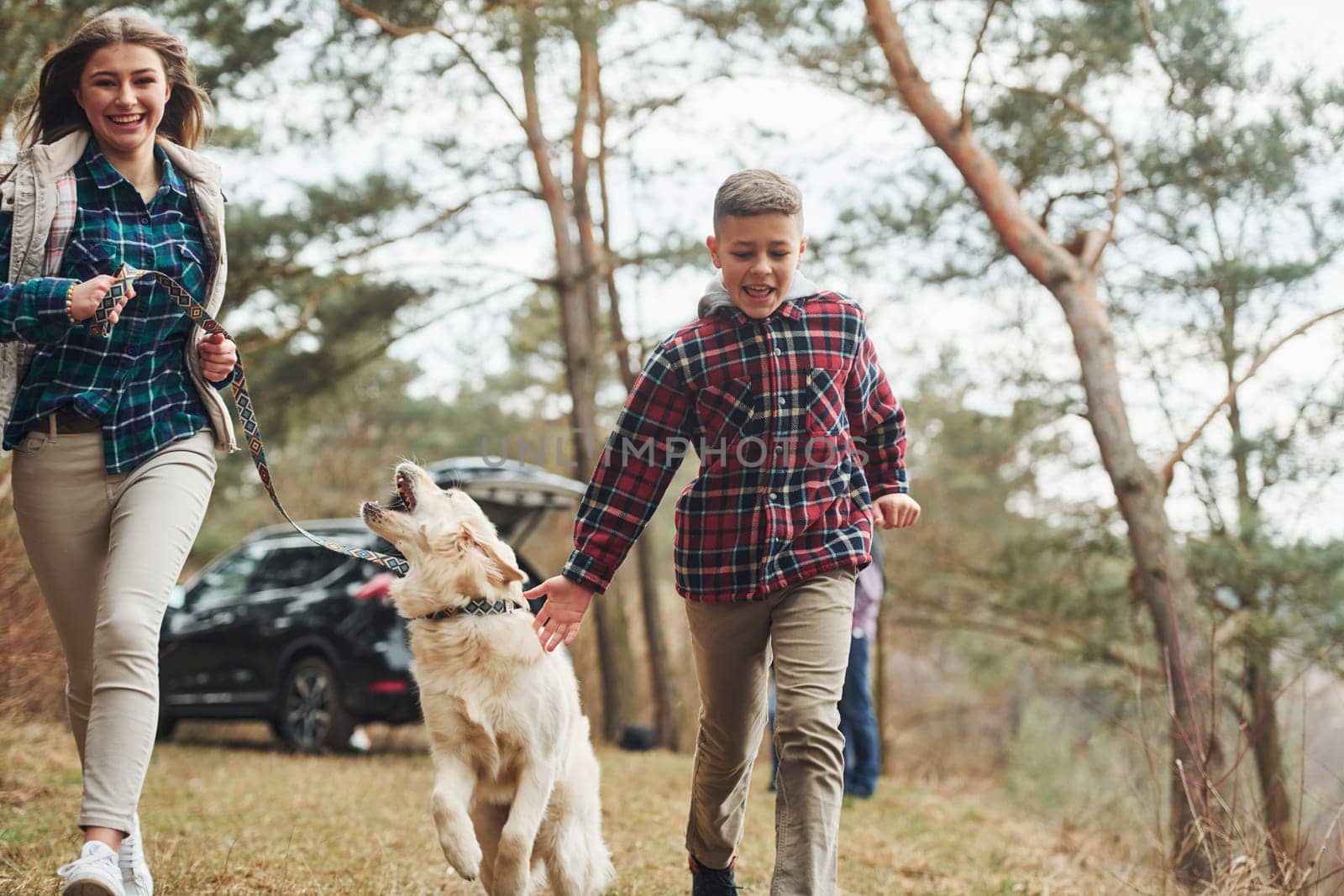 Cheerful girl with brother have walk with their dog outdoors in forest at autumn or spring season near car by Standret