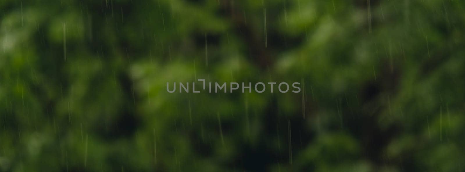 Defocused background of Heavy rain pouring shower, thunderstorm in summer. Green trees on background. Windy rainy weather, close up shot with bokeh. Season tropical rainforest dark evening footage Storm in heavy rain, strong winds