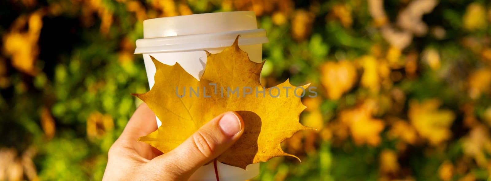 Woman holding Eco zero waste white paper cup copy space mockup Fall autumnal maple yellow leaf next to autumn nature. Cup of tea coffee to go. Hot take away drink cozy mood rest holiday concept. Coffee break lifestyle