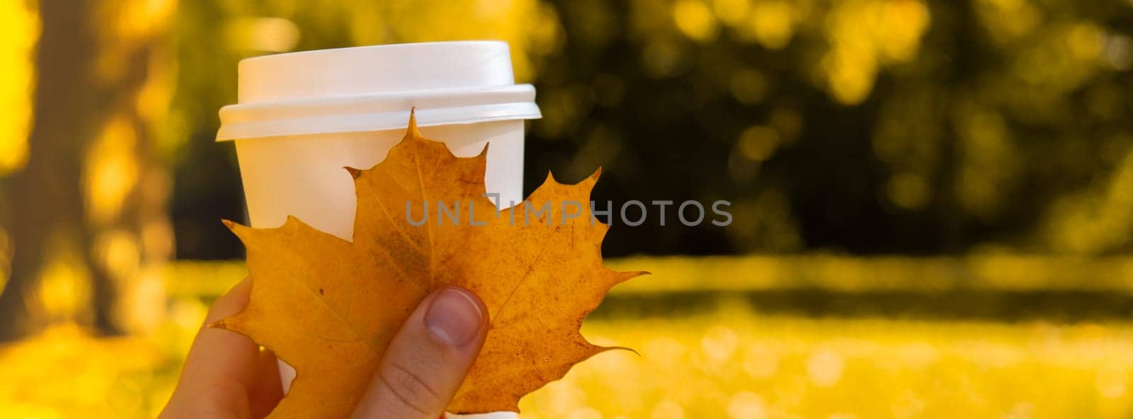 Woman holding Eco zero waste white paper cup copy space mockup Fall autumnal maple yellow leaf. Cup of tea coffee to go. Hot take away drink cozy mood rest holiday. Coffee break lifestyle by anna_stasiia