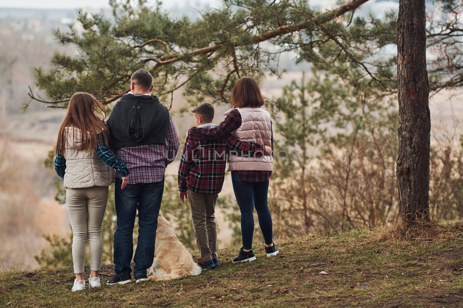 Rear view of family that standing together with their dog outdoors in forest.