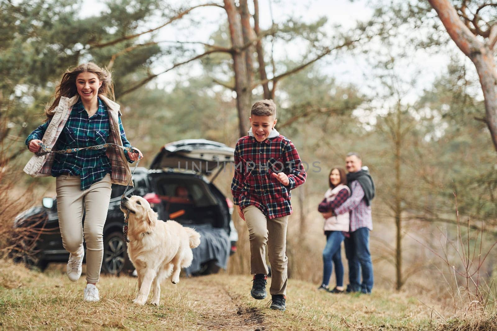 Sister and brother runs forward. Happy family have fun with their dog near modern car outdoors in forest by Standret