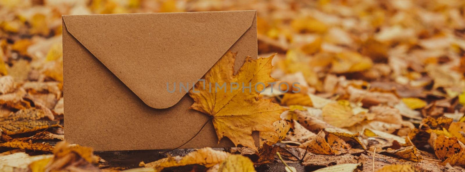 Empty earth tones envelope mock up around Colorful falling autumn leaves. Template card. Golden tree leaves. Beautiful tree with yellow leaves in autumn forest. Path littered with autumn leaves. Nature fall landscape background