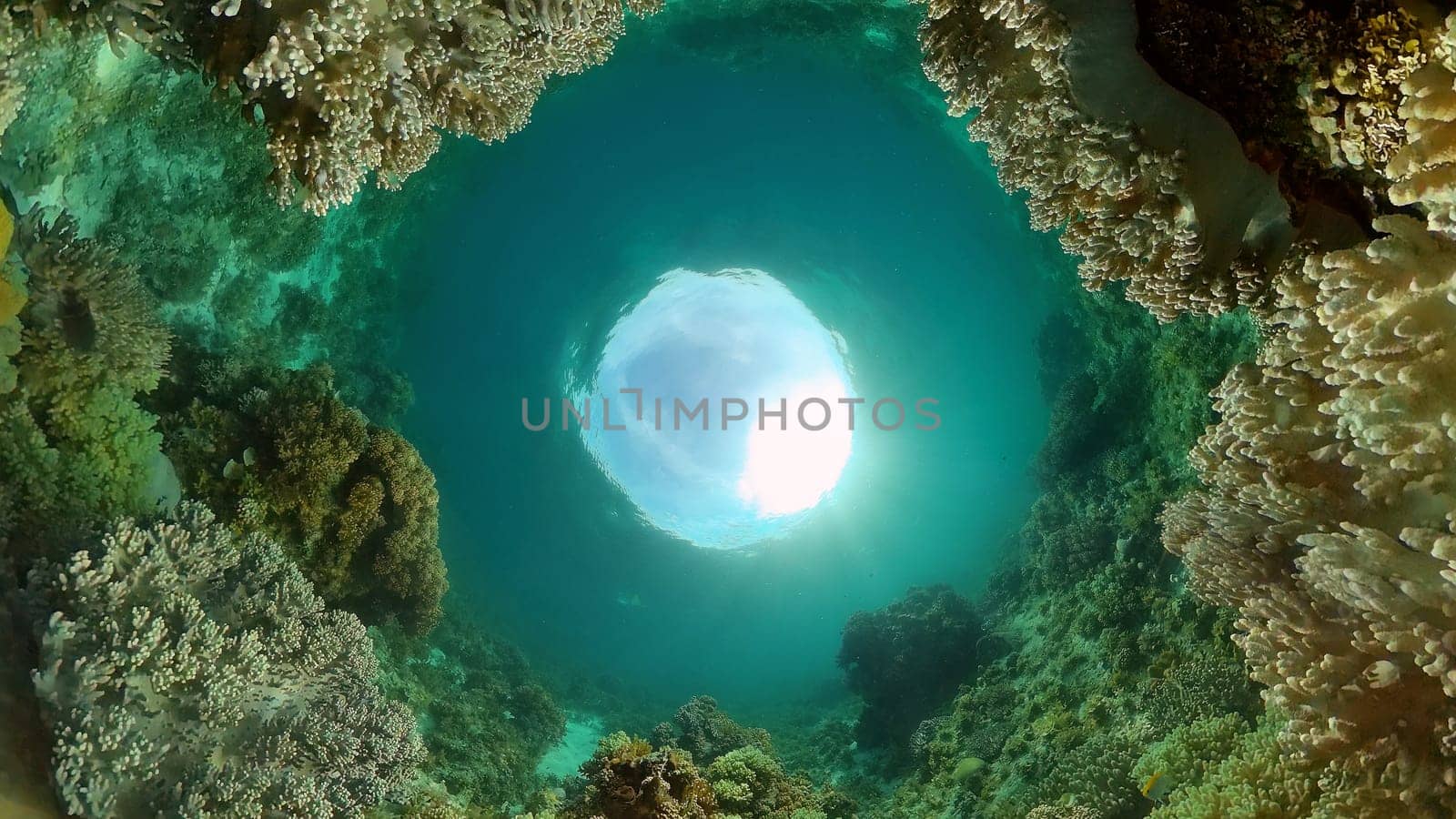 Underwater world with coral reef and tropical fishes. Travel vacation concept