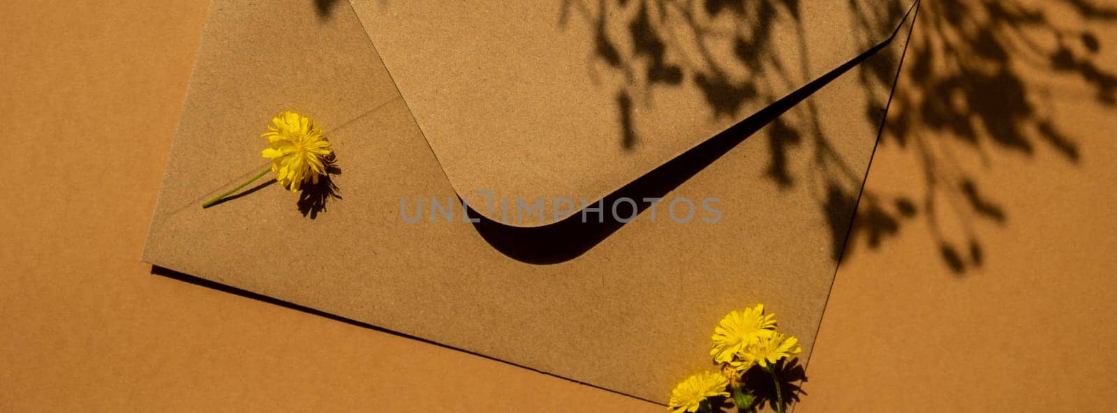Beautiful little yellow chamomile daisies flowers on postal yellow envelope on beige background, empty paper note copy space for text, spring time, greeting card for holiday. Flower delivery. Delicate yellow flowers